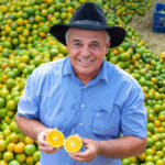 Comércio de frutas cítricas responde por 82,8% das exportações acumuladas do agronegócio / Foto: Thiago Santos